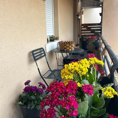 Appartement De Charme 80M2 Живор Экстерьер фото